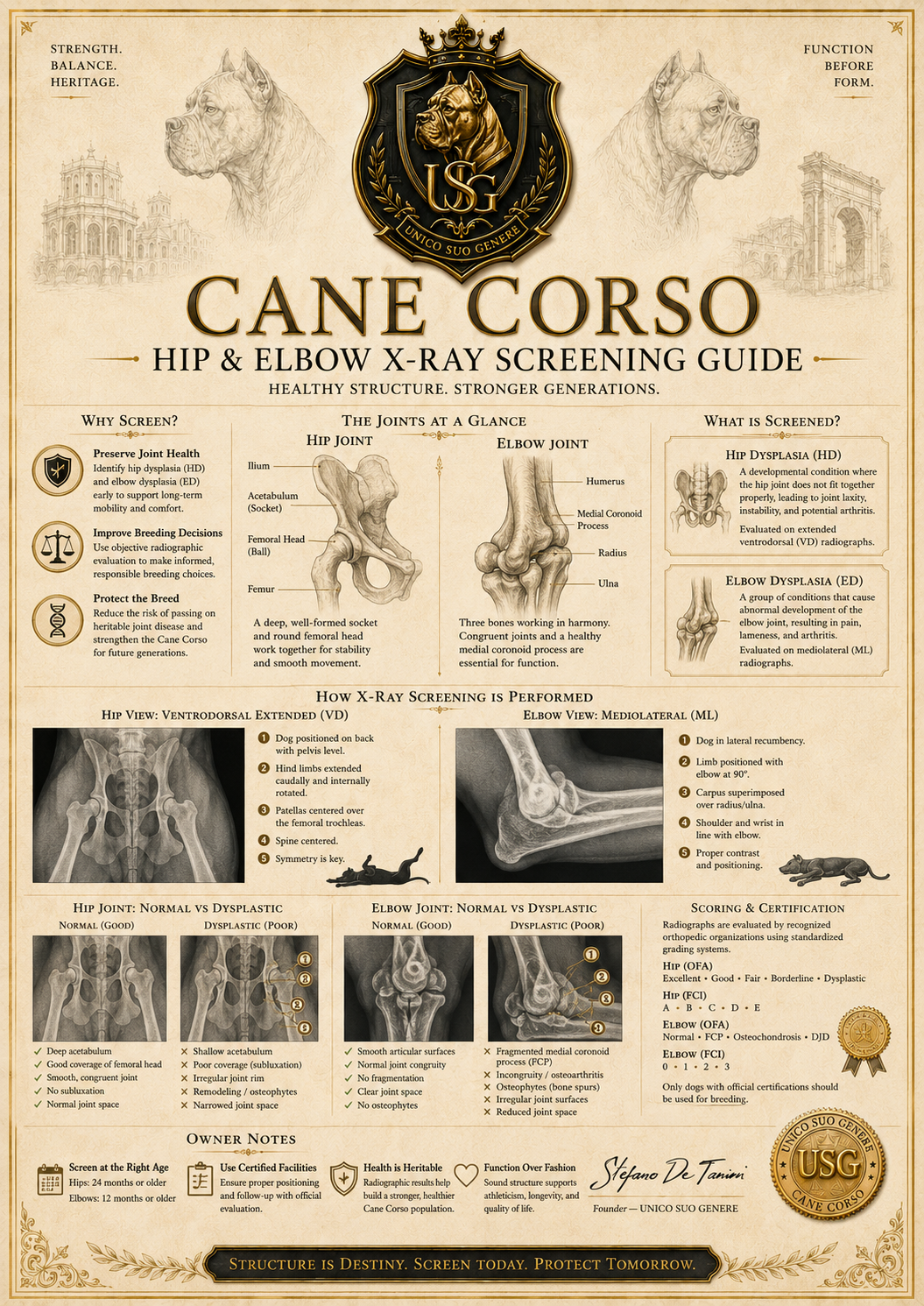 Hip & Elbow X-Ray Screening